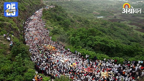 Palakhi Sohala 2025