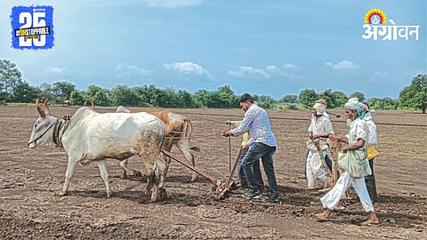 Kharif Sowing