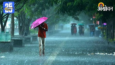 Rain Alert