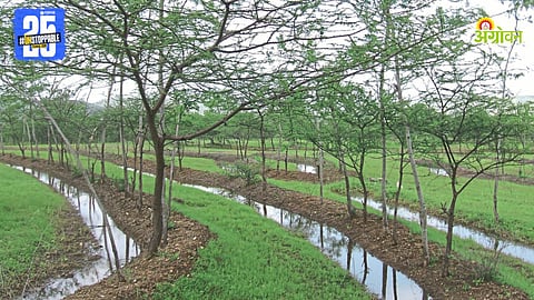 Watershed Management