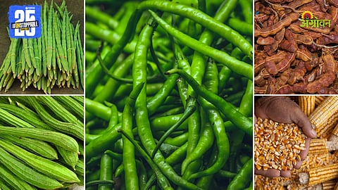 Agriculture Market Products