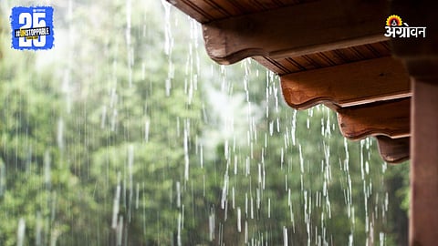 Rain