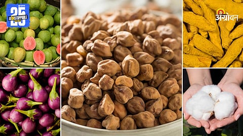 Agriculture Market Products