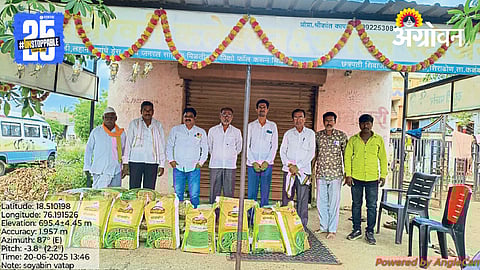 Soybean Farming