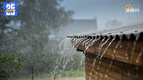 Maharashtra Rain