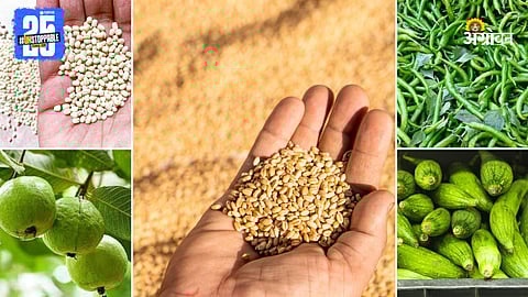 Agriculture Market Products