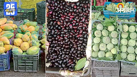 Fruit Market