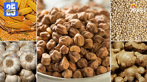 Agriculture Market Products