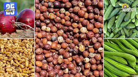 Agriculture Market Products