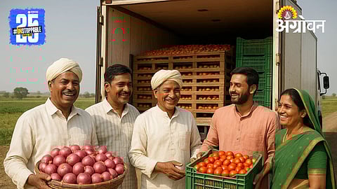 Transport Subsidy