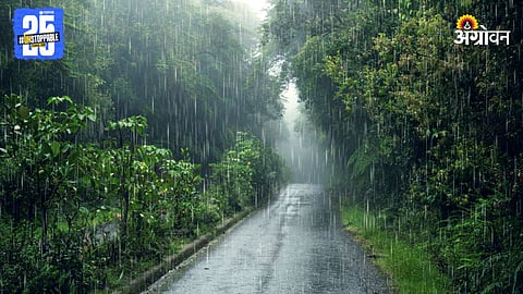 Monsoon Rain