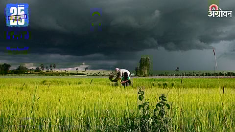Rain