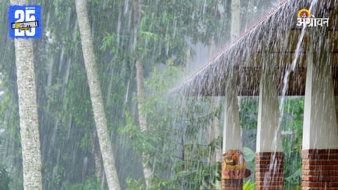 Rain Forecast