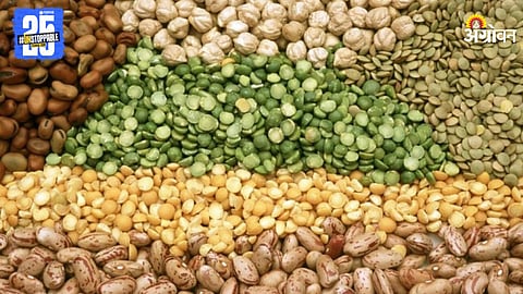 Indian Pulses