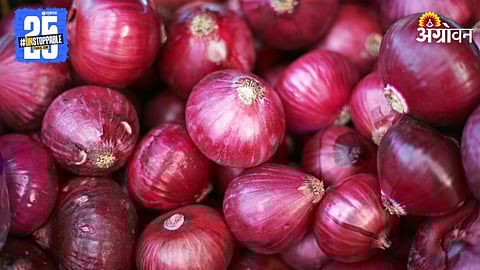 Onion Market