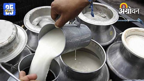 Milk Production