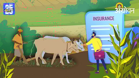 Crop Insurance Delayed