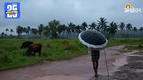 Rain Forecast
