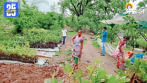 Nursery Business