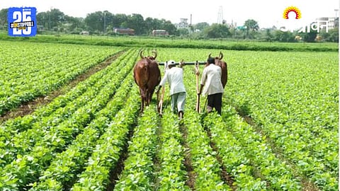 Kharif Sowing