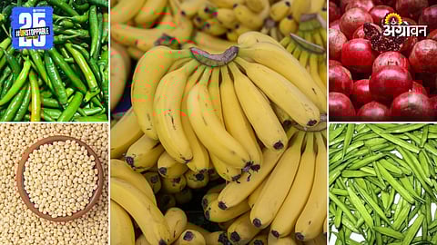 Agriculture Market Products