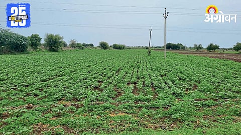 Kharif Crop