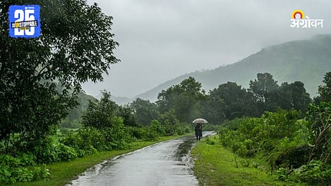 Rain Forecast
