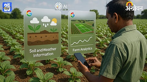 Google AI For Agriculture