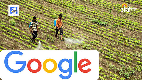 Google’s AI Project