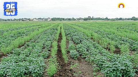Inter Cropping Method