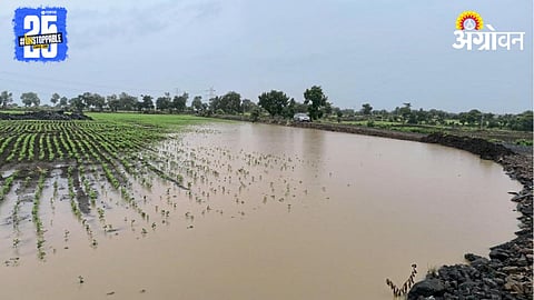 Crop Damage