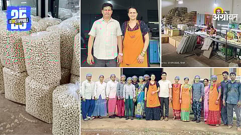 Cashew Processing Industry