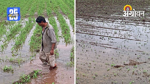 Crop Damage Issue
