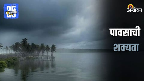 Rain Forecast