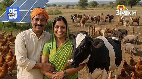 Livestock Support