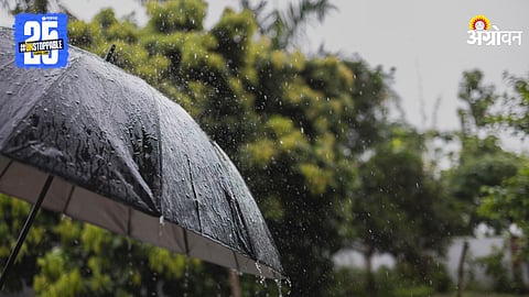 Monsoon Rain