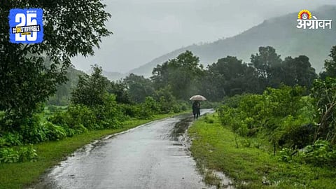 Monsoon Rain