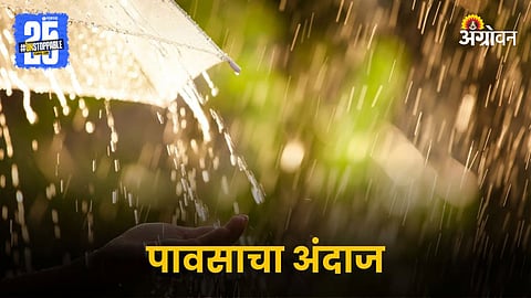 Rain Forecast