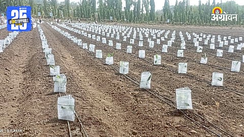 Agriculture Technology