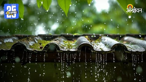 Rain