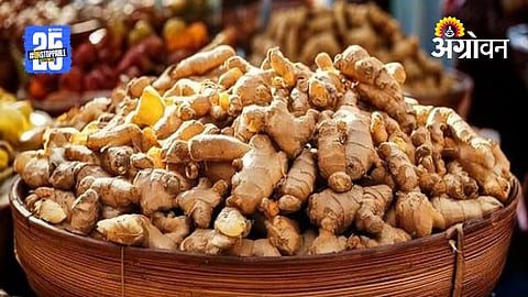 Ginger Research Center