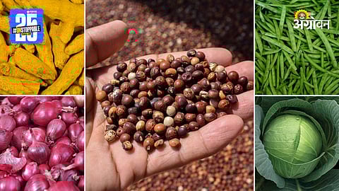 Agriculture Market Products