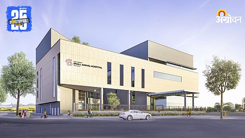 Veterinary Hospitals