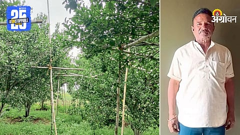 Orange Farming and Farmer Rajiv Ghode