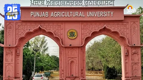 Punjab Agricultural University