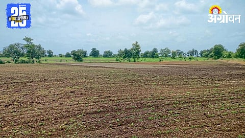 Kharif Sowing