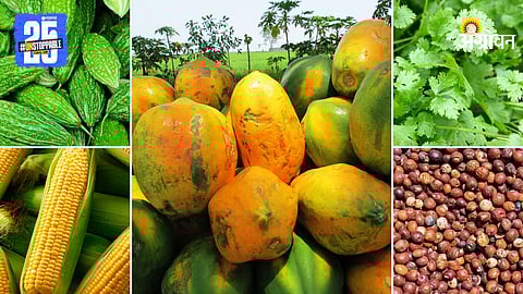 Agriculture Market Products