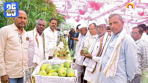 Buldana Mango Festival
