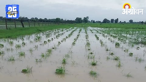 Heavy Rainfall in 12 Regions of Beed and Jalna Districts | Weather Alert
