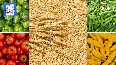 Agriculture Market Products